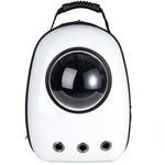 Mochila Para Carregar Cachorro e Gato