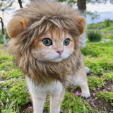 Fantasia Juba de Leão Cansei de Ser Gato - NerdLoja
