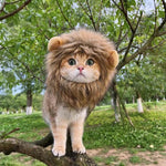 Fantasia Juba de Leão Cansei de Ser Gato - NerdLoja