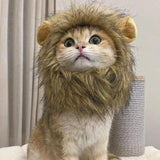 Fantasia Juba de Leão Cansei de Ser Gato - NerdLoja